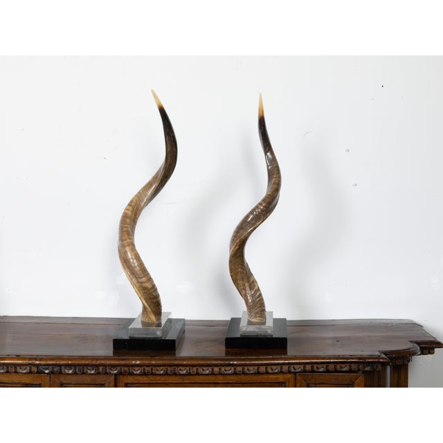 Mid 20th Century Pair of European Midcentury Horns Mounted on Silver and Black Stepped Bases For Sale - Image 5 of 8