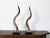 Mid 20th Century Pair of European Midcentury Horns Mounted on Silver and Black Stepped Bases For Sale - Image 5 of 8