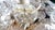 1960s Vintage Sputnik Dandelion Chandelier from Veb Deutsche Werkstätten Hellerau, 1960s For Sale - Image 5 of 12