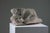Stone French Artist, Modernist Sculpture of a Reclining Female Nude, Reconstituted Stone For Sale - Image 7 of 18