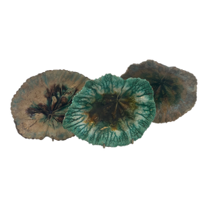 1930s 3 Victorian Majolica Leaf Form Ceramic Dishes or Ashtrays