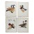 Vintage 1950 Duck Geese Menaboni's Birds Prints - Set of 4 For Sale