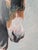1990s Unknown, Oil on Panel, Portrait of a Donkey, 20th Century, 1990s, Oil For Sale - Image 5 of 10