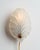 1970s Vintage Shell-Shaped Wall Lamp in Frosted Glass, 1970s For Sale - Image 5 of 7
