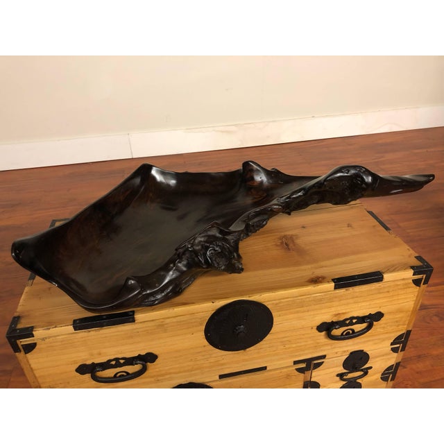 Large Irregular Shaped Burl Bowl For Sale - Image 9 of 12