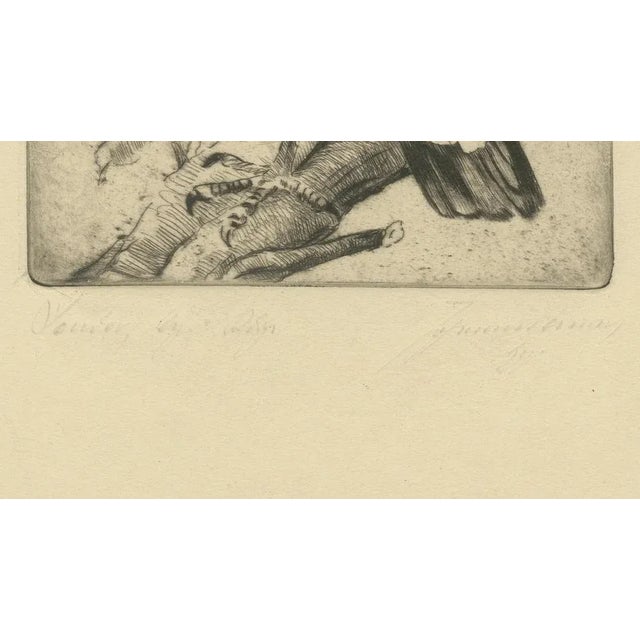 The Andean Condor, 1880, Etching For Sale - Image 3 of 10