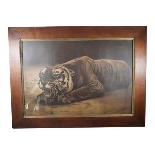 19th Century Black and White Lithograph of a Tiger For Sale