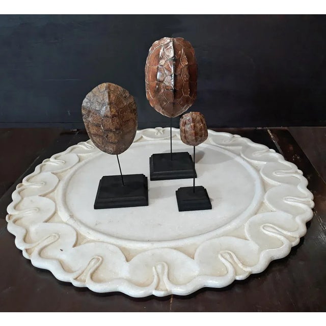 Late 20th Century Marble Charger / Server From India For Sale - Image 11 of 13