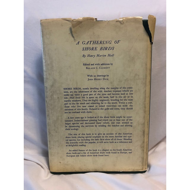 A Natural History of American Birds of Eastern & Central America by Edward Howe Forbush & John Bichard May, illustrated in...