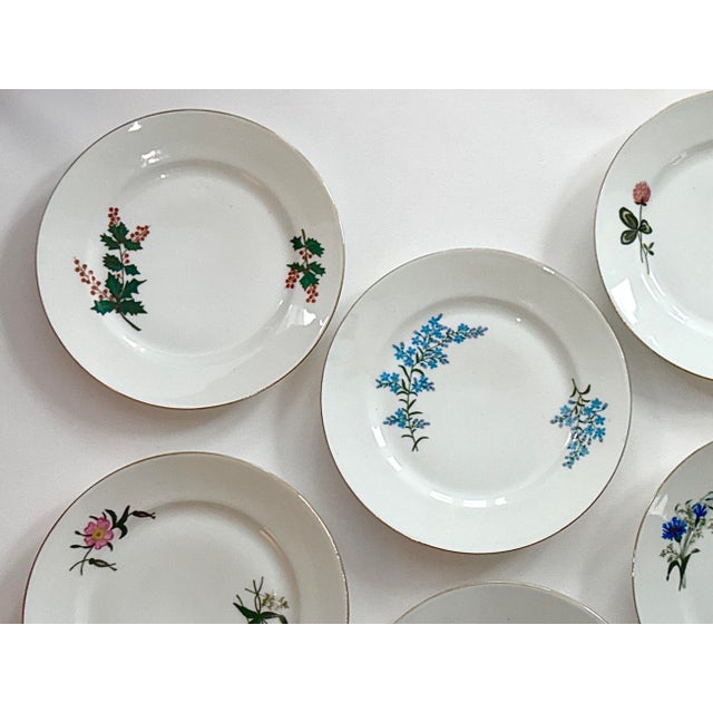 Limoges, France Antique Limoges Cabinet Plate Collection, 1880 - 1882, Set of 8 For Sale - Image 4 of 16