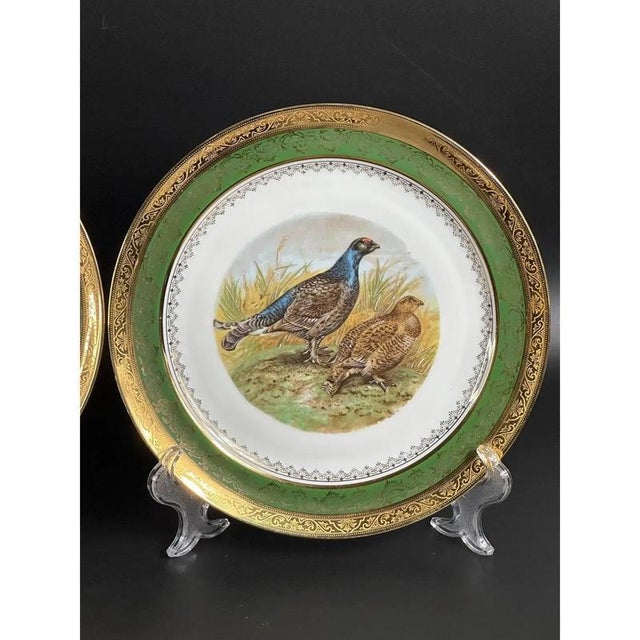 Porcelain Plates with Pheasants from Limoges, France, 1900s, Set of 2 For Sale - Image 4 of 11