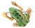18k Yellow Gold Vintage 3d Frog Brooch With Green Spotted Enamel Details Status:Published - Marketplace For Sale