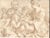 Madonna della Scodella is an original drawing (black pencil, pen and ink on laid paper) by an exponent of the Italian...
