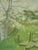 1959 Mid-Century Modern 'Whispering Canopy' Swedish Semi-Abstract Landscape Oil Painting, Framed For Sale - Image 12 of 13