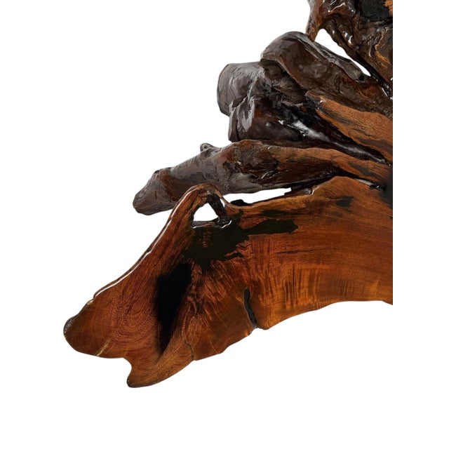 Brutalist Tree Root Coffee Table, 1970s For Sale - Image 13 of 14