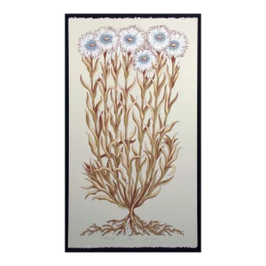 Jules Roch "Wild Carnations" Hand Signed Limited Edition Fine Art Serigraph