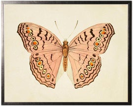 Example of Prints
