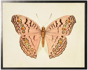 Horizontal Pink Butterfly in Pewter Shadowbox - 31.5ʺ × 25.5ʺ