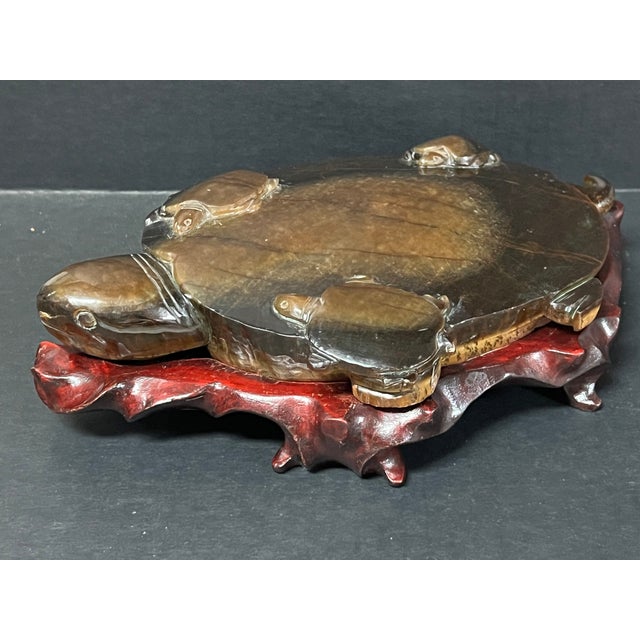 Chinese Art Carved Tiger Eye Stone Turtle Sculpture on Wooden Display Stand For Sale In New York - Image 6 of 11