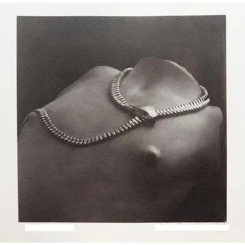 2000 - 2009 Ian Sanderson, Snake, Platinum Palladium Print, 2016 For Sale - Image 5 of 6