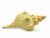 Enhance your nautical style by showcasing the horse conch Specimen. This beautiful shell makes outstanding centerpieces,...