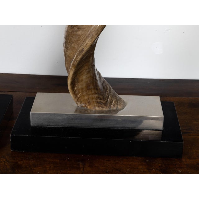 Pair of European Midcentury Horns Mounted on Silver and Black Stepped Bases For Sale In Atlanta - Image 6 of 8