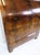 Chatol with Four Drawers in Hand Polished Mahogany, 1820s For Sale - Image 6 of 18