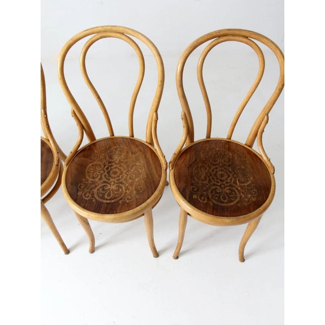 Thonet Antique Thonet Bentwood Chairs Set of 4 For Sale - Image 4 of 13