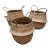 Foldable Seagrass Basket, Set of 3 For Sale