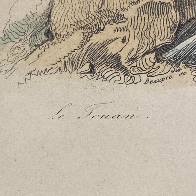 French Antique 18th Century Animal Engraving Hand Colored Signed Artwork For Sale In Portland, ME - Image 6 of 12