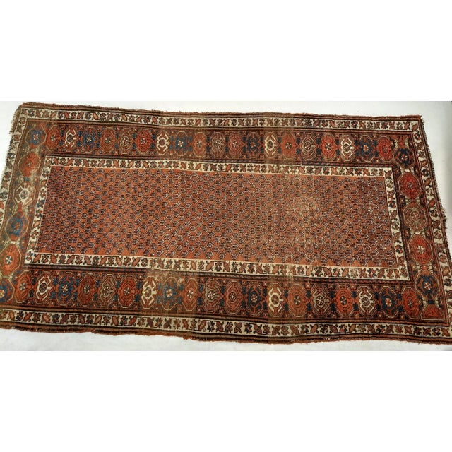 Textile Antique Persian Kurdish Area Rug, Handwoven All-Over Paisley Pattern, Rust Red & Navy, 3’ X 6’ For Sale - Image 7 of 8