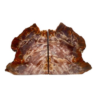 Large 1960s Petrified Wood Bookends - a Pair For Sale