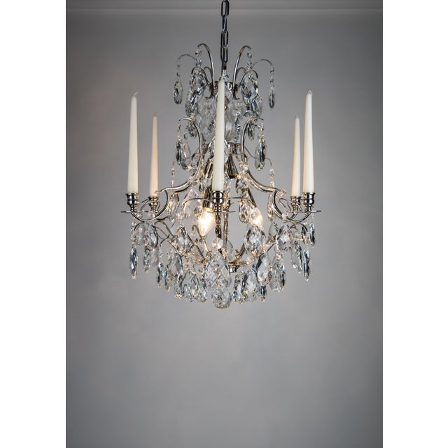 Pompe, Baroque style Chandelier, Nickel, Nickel plated brass, Clear Basic by Scholer Crystal Austria (hand cut crystal),...