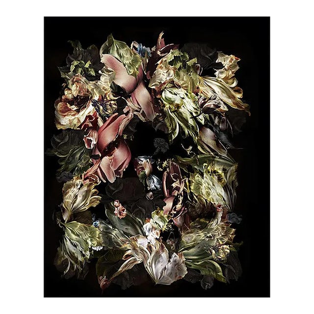 Renata Kudlacek, Spectacular Specimen, 2021 For Sale