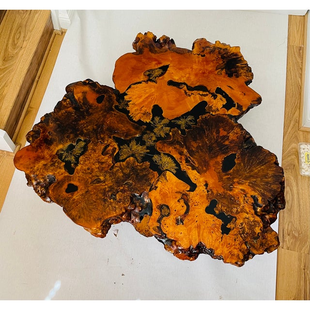 Gorgeous 1960 Tedeood Slab Stump Root Live Edge Coffee Table For Sale - Image 15 of 17
