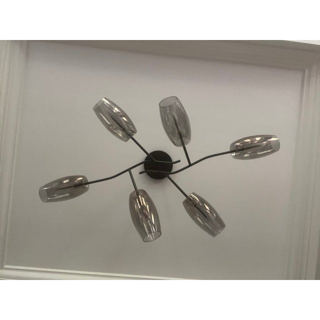 Gallotti & Radice Diantha 6-Light Suspension Light by Massimo Castagna | Brand New in Original Box For Sale In New York - Image 6 of 8