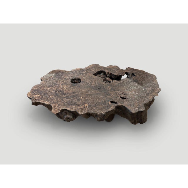 2010s Andrianna Shamaris Organic Lightly Charred Teak Wood Coffee Table For Sale - Image 5 of 6