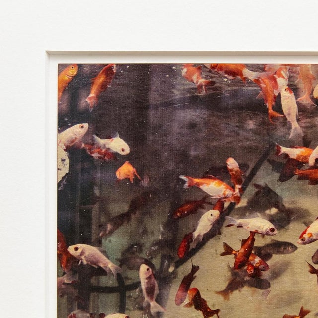 Albarran & Cabrera, Image of Fish, Photograph with Gold Leaf on Japanese Paper, 2013, Framed For Sale - Image 10 of 11