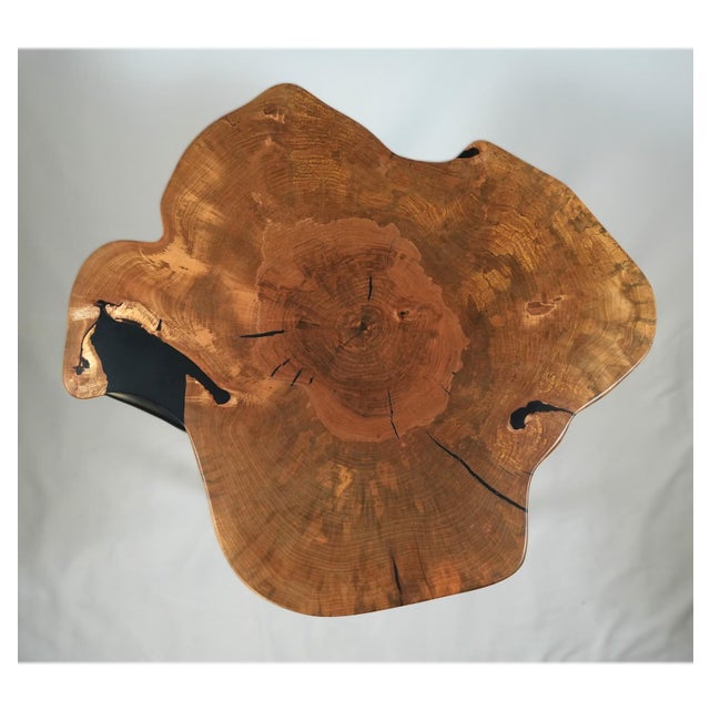 Slanted Table No. 2 – Organic Modern Coffee Table in Spalted Maple For Sale - Image 9 of 10