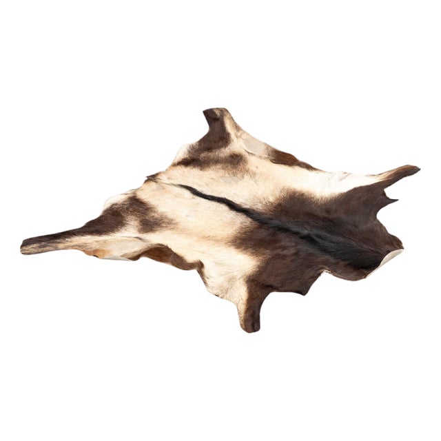 Goat Leather Rug, 1940s For Sale