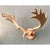 Vintage Carved Wood Antler Wall Mount For Sale - Image 11 of 12