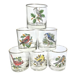 Birdwatchers Songbird Lowball Glasses- Set of Six For Sale