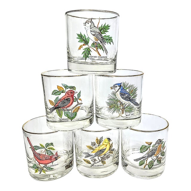 Birdwatchers Songbird Lowball Glasses- Set of Six For Sale