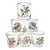 Birdwatchers Songbird Lowball Glasses- Set of Six For Sale