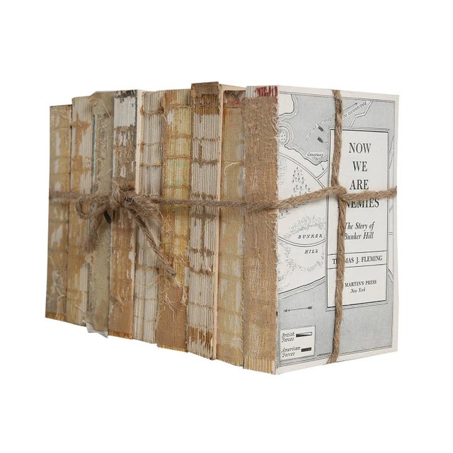 Vintage Paper & String ColorPak. One linear foot of hardback books with all covers removed, revealing the beautiful...