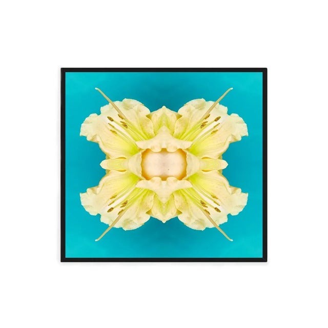 Not Yet Made - Made To Order "No. 124" Contemporary Original Op Art Botanical Limited Edition Print by Erin Derby For Sale - Image 5 of 5