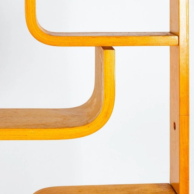 Flower Wall Unit or Room Divider attributed to Ludvik Volak, 1960s For Sale - Image 6 of 9