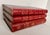 Antique French Red Leather Bound Books - Set of 3 For Sale - Image 10 of 18