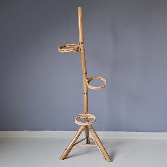 Mid-Century Modern Vintage Rattan Plant Stand, 1960s For Sale - Image 3 of 6