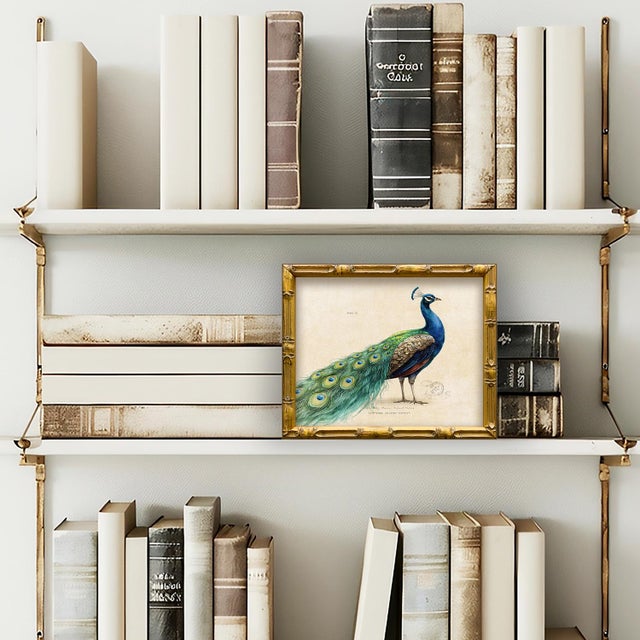 This is our majestic peacock from our vintage "Garden Friends" series. Please note there are many images in this series,...